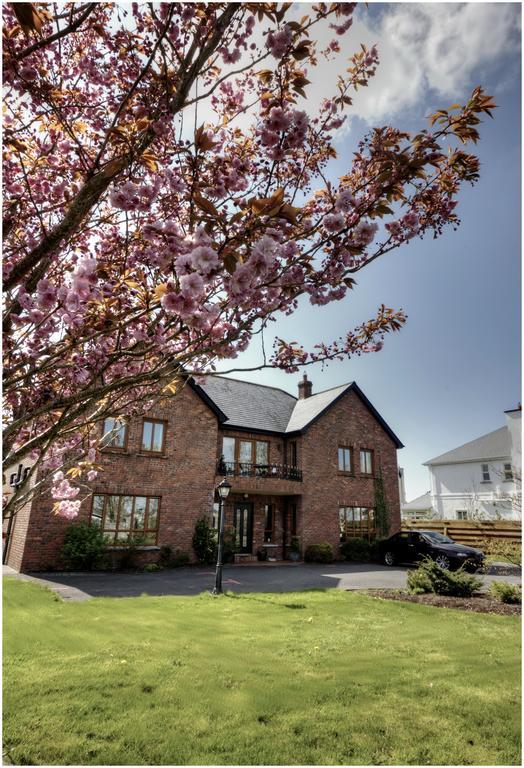 Oranhill Lodge Guesthouse Oranmore Exteriör bild
